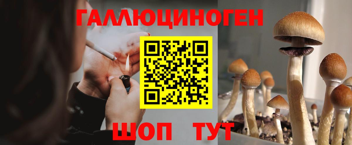 Галлюциногенные грибы MAGIC MUSHROOMS  Псилоцибиновые грибы ЛСД  Нижнекамск  Вход с VPN 